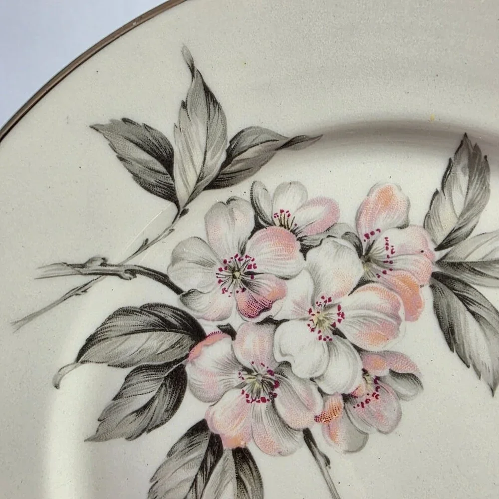 TWO Manor House Spring Glory Salad Plates Pink & White Floral Gray Leaves